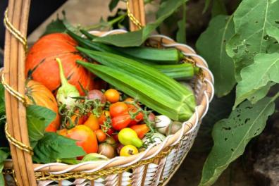 tsk4dgoyji5a2718hbelw93zqxpnrc0uvfm