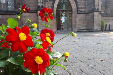 ye1oiqdgx6hvmwj208lpkfnrzc93sb7t4u5